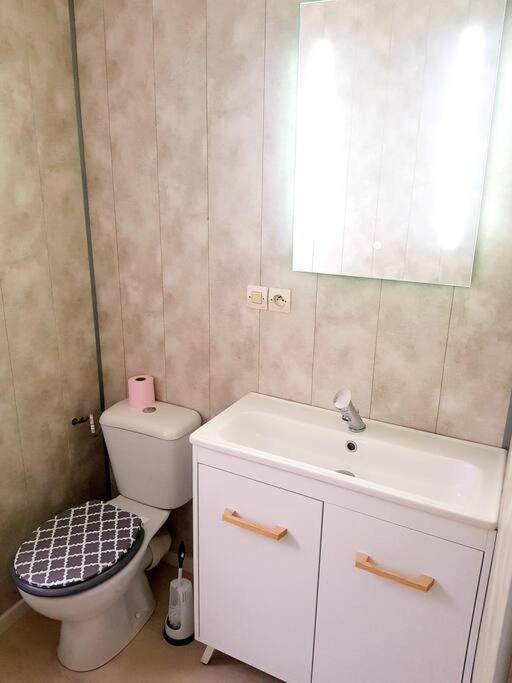 Le Jeanne 4/6 Couchages, Wifi, Sanctuaire Apartment Лурд Екстериор снимка